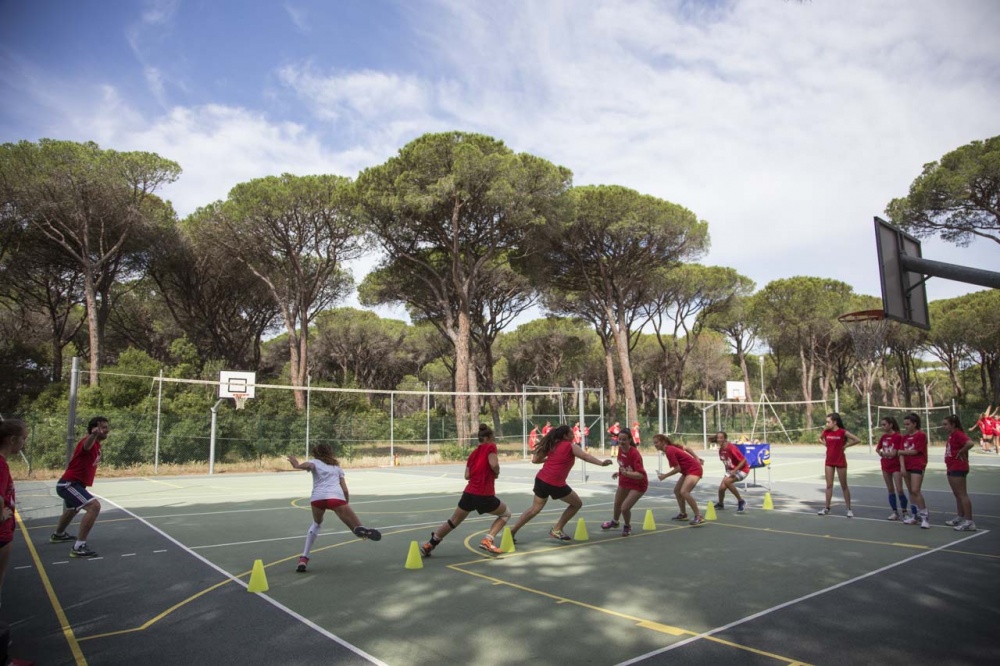 Invicta Volleyball Grosseto store